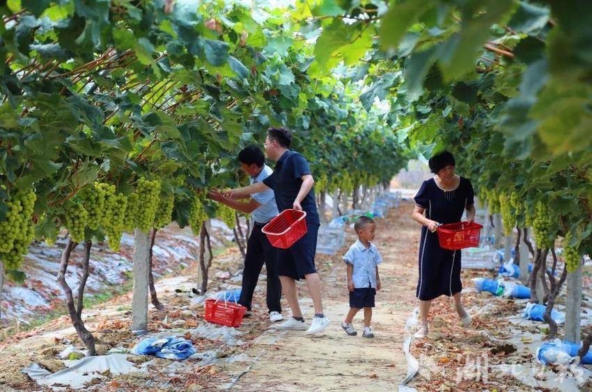梭哈游戏下载